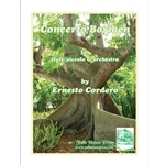 Concerto Boriken For Flute/Piccolo & Orchestra