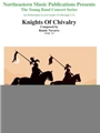 Knights Of Chivalry