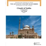 Citadel of Saldin