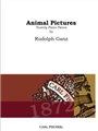 Animal Pictures