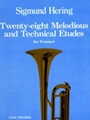 28 Melodious & Technical Etudes