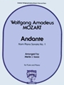 Andante  From Piano Sonata #1