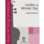 Under a Winter Sky