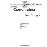 Canyon Winds
