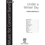 Under a Winter Sky