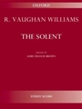 The SolentStudy score