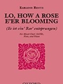Lo How A Rose E'er Blooming