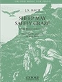 Sheep May Safely Graze