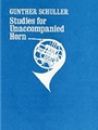 Studies For Unaccompanied Horn