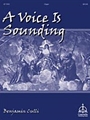Voice Is Sounding