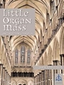 Little Organ Mass