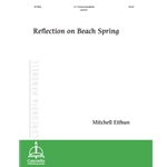 Reflection on Beach Spring