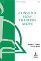 Consider How the Birds Above