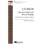 St. Matthew Passion: Here Yet Awhile