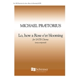 Lo, How a Rose e'er Blooming