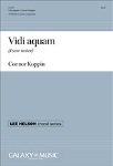 Vidi aquam - I saw water