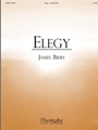 Elegy