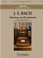 Mein Jesu was fur Seelenweh