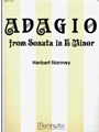 Adagio  From Sonata In E Minor