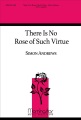 There Is No Rose of Such Virtue