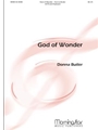 God of Wonder