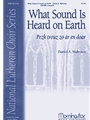 What Sound Is Heard on Earth/Pezh trouz zo a r en doar
