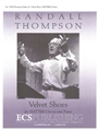 Velvet Shoes