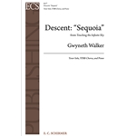 Descent:  "Sequoia"  from "Touching the Infinite Sky"