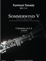 Sommerwind V