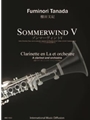 SOMMERWIND V CLARINETTE EN LA ET ORCHESTRE SYMPHONIQUE