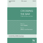Crossing the Bar