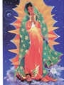 Our Lady of Guadalupe Poster