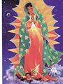 Our Lady of Guadalupe Postcard
