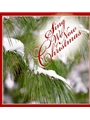 Sing We Now of Christmas - CD compilation