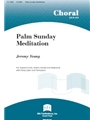 Palm Sunday Meditation - Instrument edition