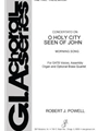 O Holy City, Seen of John