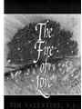 The Fire of Love - Music Collection
