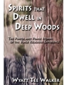 Spirits That Dwell in Deep Woods - Book with CD edition