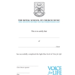 Voice for Life - Light Blue Level Certificate