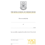Voice for Life - Yellow Level Certificate