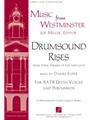 Drumsound Rises