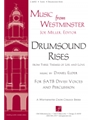 Drumsound Rises - Instrument edition
