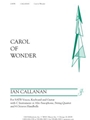 Carol of Wonder - Guitar edition