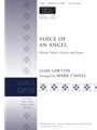 Voice of an Angel - Guitar edition