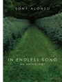 In Endless Song - Guitar edition