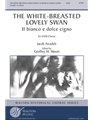 Il Bianco e Dolce Cigno (The White Breasted Swan)