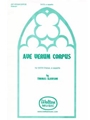 Ave verum corpus - SATB divisi