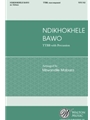 Ndikhokhele Bawo