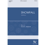 Snowfall
