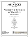 Amidst the Thunder of Cannons